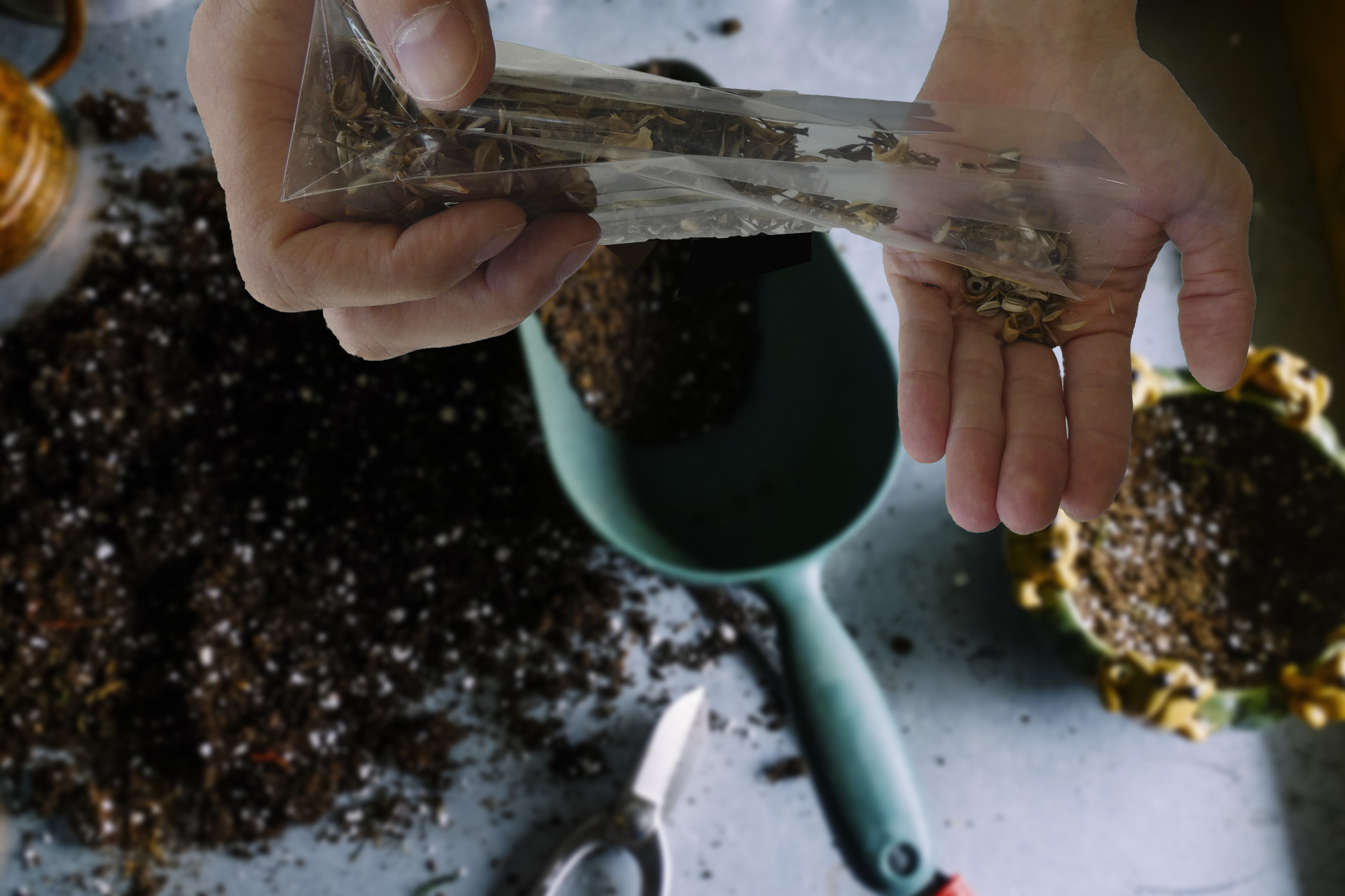 Packaging of seed bags